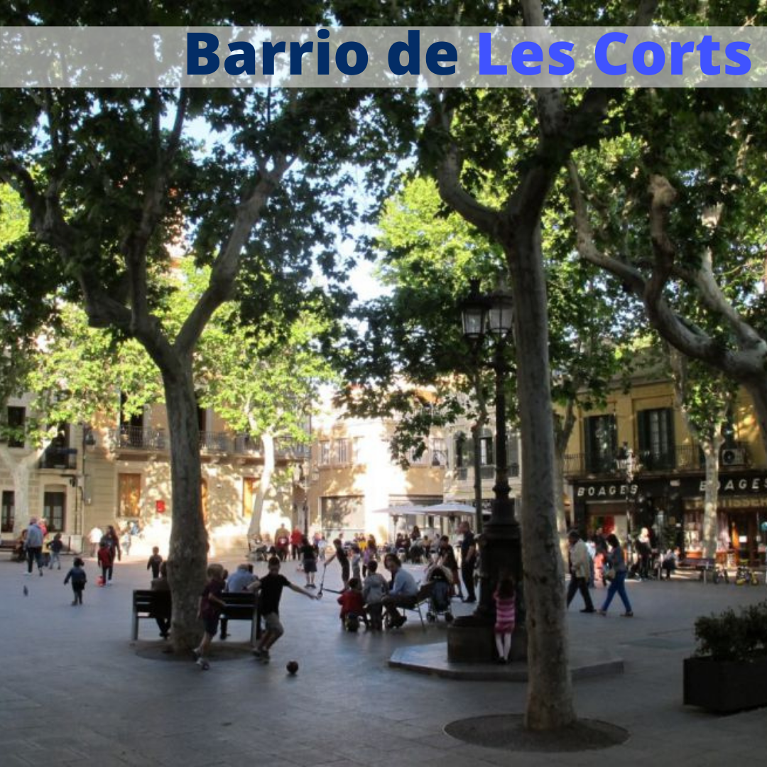 Dónde vivir en Barcelona: las mejores opciones 8