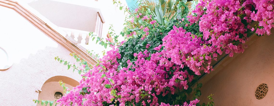 6. Comprar casa en verano
